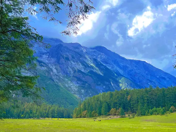 风景
